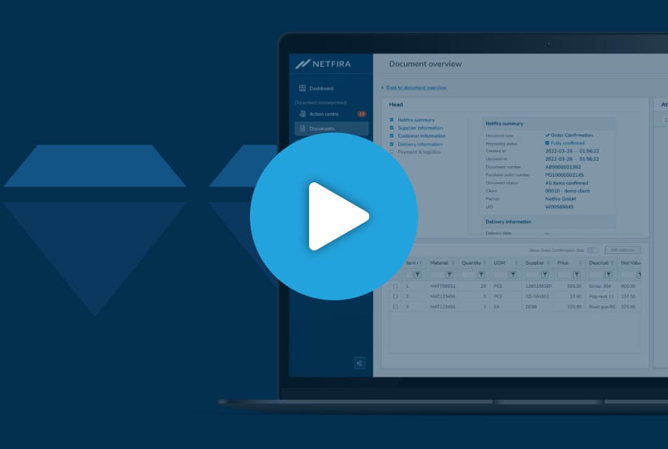 Netfira's Invoice Demo Video Holding Image